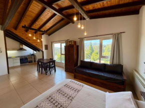 Hermoso Monoambiente Centrico en Bariloche